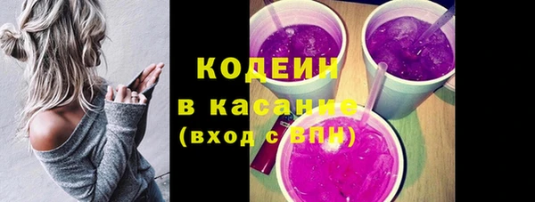эйфоретик Вяземский