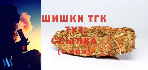 эйфоретик Вяземский