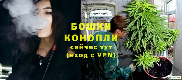 эйфоретик Вяземский