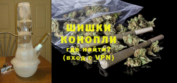эйфоретик Вяземский