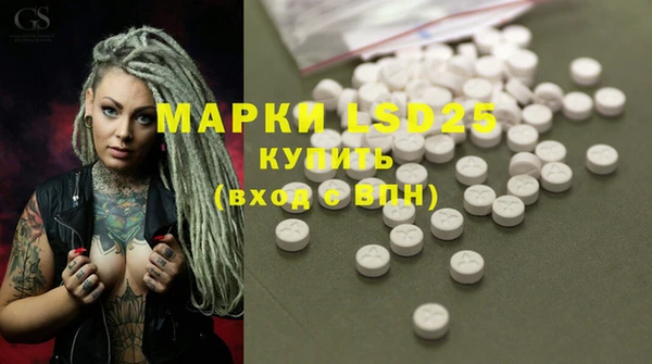 эйфоретик Вяземский